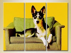 Триптих Собака на кресле_02
