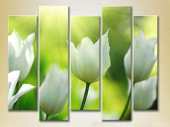 Полиптих Белые тюльпаны_02