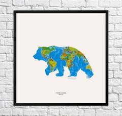 Urs brun. Harta lumii