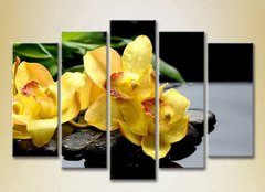 Полиптих Желтые орхидеи на камнях_03