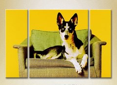Триптих Собака на кресле