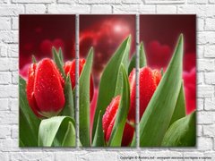 Красные тюльпаны на фоне сердечек