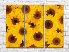 Triptic Abstracție din floarea soarelui