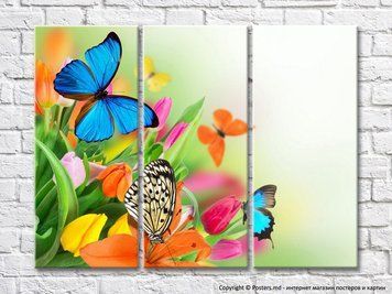 Buchet de lalele colorate cu fluturi