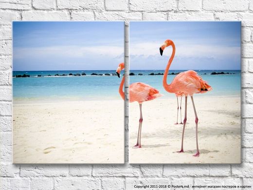 Пара фламинго на фоне пляжа, фото