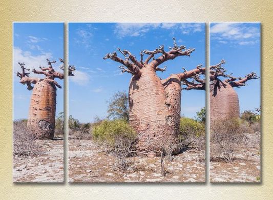 Triptic Trei baobabi_01
