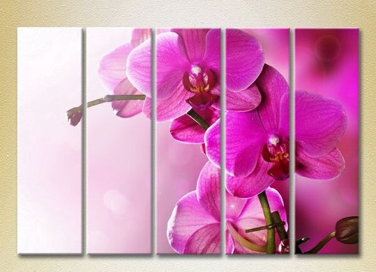 Полиптих Фиолетовые орхидеи_02