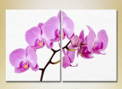 Диптих Орхидеи сиреневые