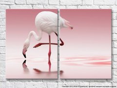 Белый фламинго н афоне розового водоема