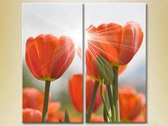 Диптих красные тюльпаны