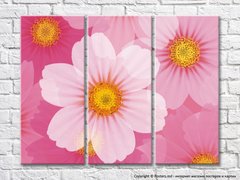 Триптих Абстракция из розовых цветов