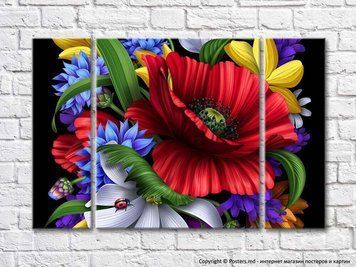 Buchet de flori colorate pe fond negru