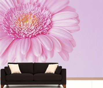 Petale roz ale unei flori uriașe de gerbera