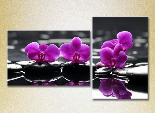 Диптих Фиолетовые орхидеи на камнях