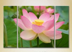 Triptic Lotus roz_02