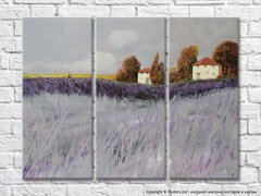Lavender Field 003_1