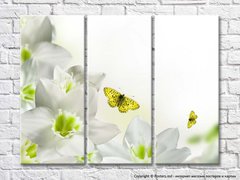 Белые цветы и желтые бабочки