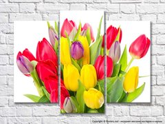 Триптих букет разноцветных тюльпанов