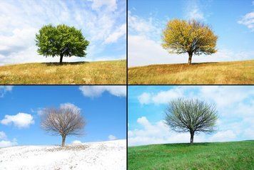 Natura si peisaje_34