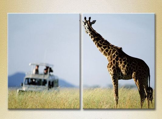 Диптих Жираф и туристы