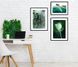 Set de postere №02, Flori sălbatice pe fundal verde