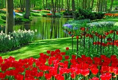Фотообои Красные тюльпаны у пруда