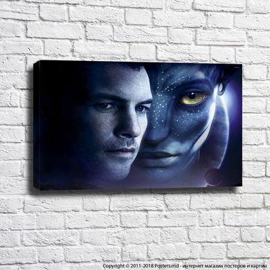 Poster cu personajele filmului Avatar