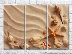 Морская звезда и ракушки на песке