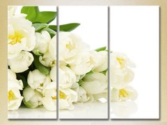 Триптих Букет белых тюльпанов