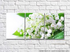 Flori albe de lacramioare pe frunze verzi cu rouă