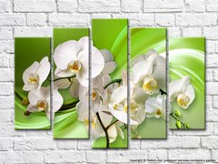 Ветка белой орхидеи на зеленом абстрактном фоне
