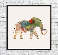 elefant african. Fragment de hartă