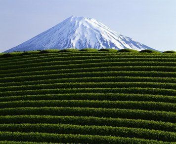 Natura si peisaje_33