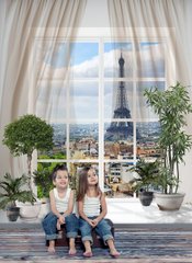 Фотообои с видом на Париж из окна