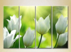 Полиптих Белые тюльпаны_01