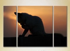 Триптих Котенок на закате