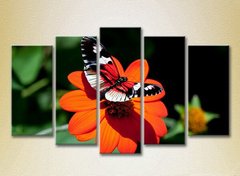 Полиптих Бабочка на цветке_05