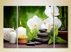 Триптих Белые орхидеи и бамбук_01
