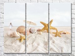 Морские звезды и ракушки в песке