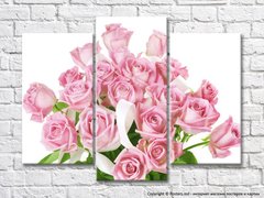 Розовые розы в букете на белом фоне