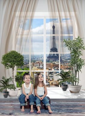 Fototapet cu vedere la Paris de la fereastră