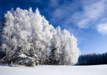 Природа, пейзажи_07