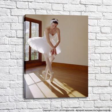 Balerina cu tutu alb si pantofi pointe, balet