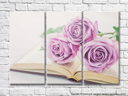 Buchet de trandafiri violet pe o carte deschisă
