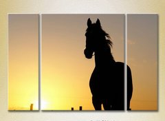 Триптих Силуэт лошади на закате