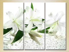 Триптих Белые лилии_02