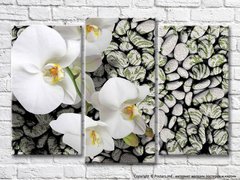 Ветка белой орхидеи на фоне узорчатых камней