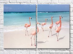 Стая фламинго гуляет по тропическому пляжу