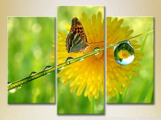 Триптих Бабочка и роса