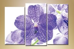 Триптих Орхидеи 14